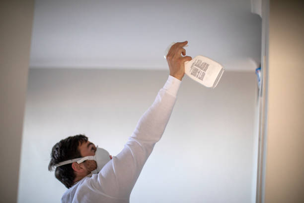 Best Commercial Mold Removal  in Southchase, FL