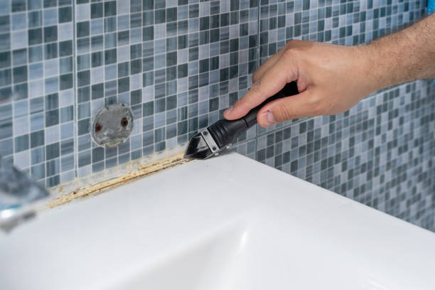 Best Residential Mold Removal  in Southchase, FL